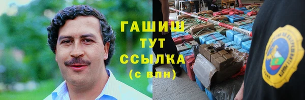 гидра Алексин