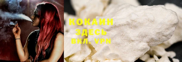 твердый Алексеевка