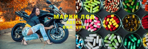 гидра Алексин
