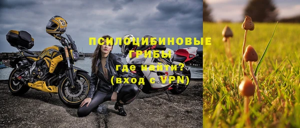 твердый Алексеевка