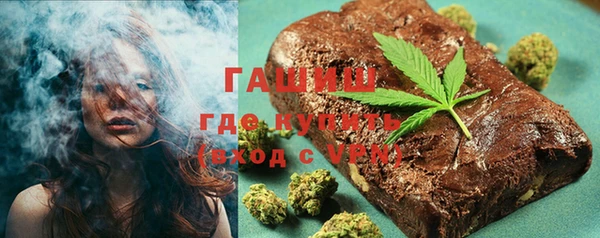 стаф Алзамай