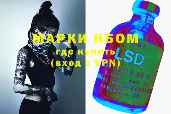 стаф Алзамай