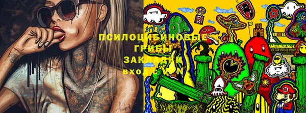 твердый Алексеевка