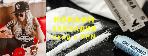 стаф Алзамай