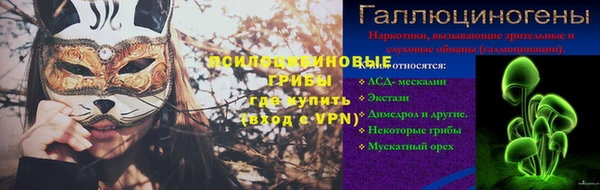 стаф Алзамай