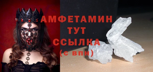 стаф Алзамай